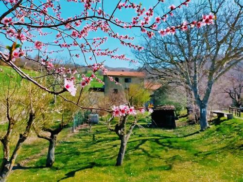 Κήπος έξω από το B&B Luna e Stelle