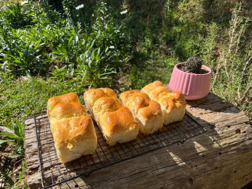 four slices of bread sitting on a rack next to a plant at Nấp Đà Lạt in Da Lat