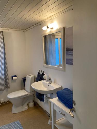 SkurupにあるSlimmingegårdenのバスルーム(トイレ、洗面台、鏡付)