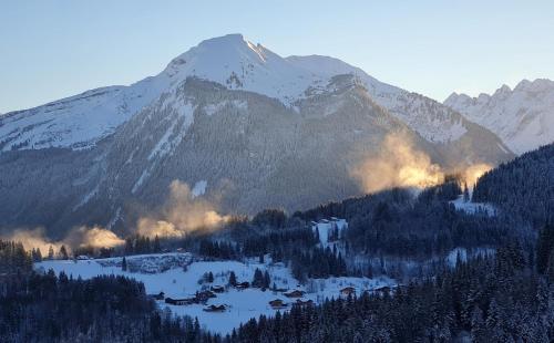 a snow covered mountain with a lake in front of it at Couples Gem - Sensational views Nr Morzine in La Côte dʼArbroz