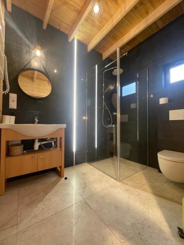 a bathroom with a shower and a sink and a toilet at Morski Zakątek in Rowy