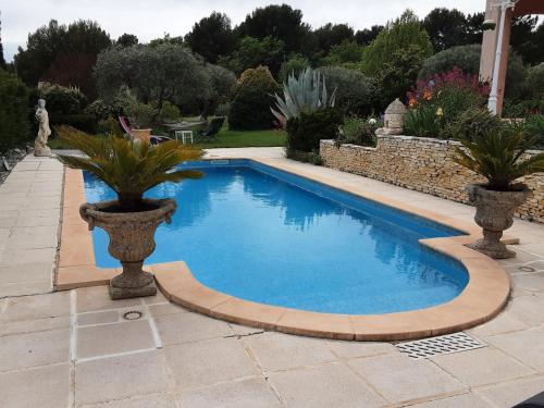 a swimming pool with two potted plants next to it at L'éolyre in La Motte-dʼAigues