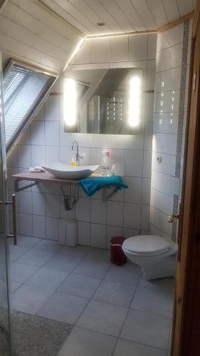 W łazience znajduje się umywalka, toaleta i lustro. w obiekcie Haus am Scharpenmoor w mieście Norderstedt