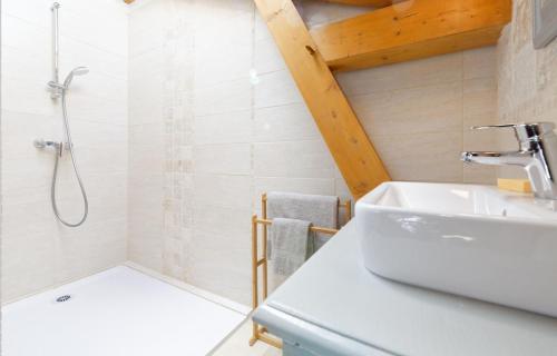 a bathroom with a shower and a sink at Le Cabanot in Peyrusse-Grande