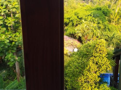 Κήπος έξω από το Hostel Residence Bentota
