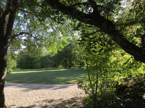 a view of a park with trees and a field at cabane lodge avec spa privatif in Livernon
