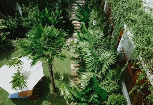 an overhead view of a garden with palm trees at PORTER HOTEL - Surf & Yoga Retreat in Kuta Lombok