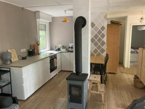 a kitchen with a stove in the middle of a room at NEU! Schöner Bungalow am Zenssee in Lychen