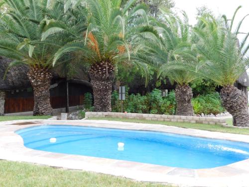 una piscina en un patio con palmeras en Tsumkwe Country Lodge, en Tsumkwe