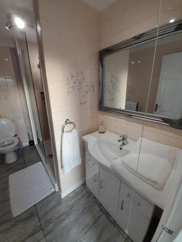a bathroom with a sink and a shower and a mirror at riverside rooms at wheelgate house in Goole