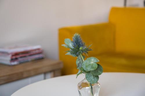 a plant in a glass vase on a table at Hoeve de Binnenplaets Schimmert in Schimmert