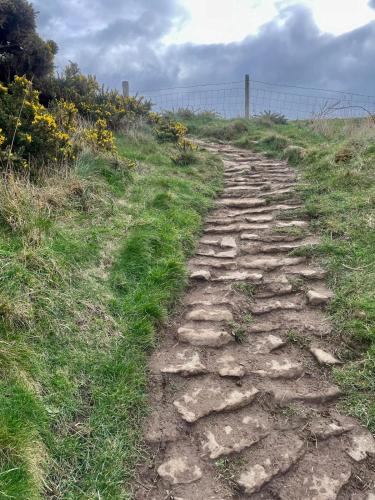 a stone path on a grassy hill with a fence at Robin Hood's Bay Coastguard's Cottage with a View in Robin Hood's Bay