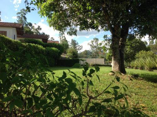 a tree in the yard of a house at Maison Clapp in Penedo