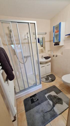 uma casa de banho com um chuveiro, um WC e um tapete em Ferienwohnng Sander em Halsbrücke