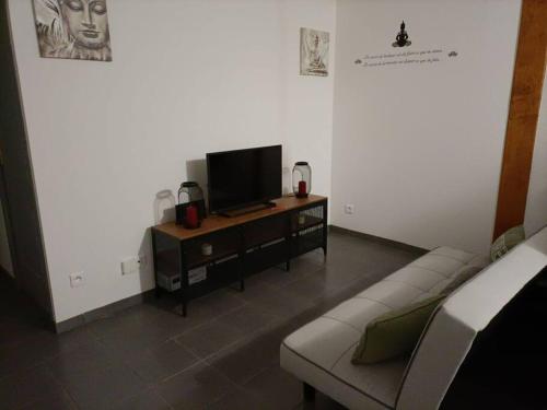 TV a/nebo společenská místnost v ubytování la maison du bonheur