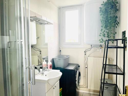 Koupelna v ubytování "Le Savanna" Magnifique T3 Montluçon centre - Hôpital - Parking gratuit