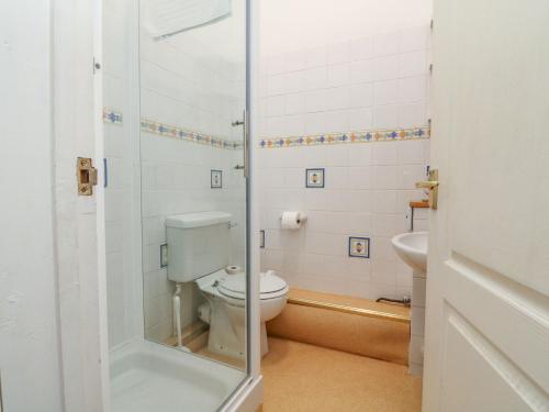 un baño con inodoro y lavabo en Val's Seaview, en Ilfracombe