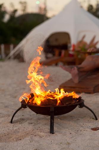 Wild Lotus Glamping – Photos 4