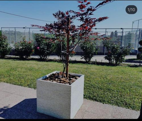 Fotografie z fotogalerie ubytování Vila Jovanovic v destinaci Barajevo