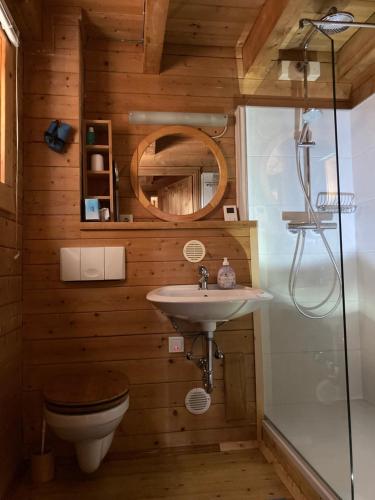 a bathroom with a sink and a toilet and a mirror at Zirbelhütte in Hohentauern