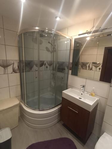 a bathroom with a shower and a sink at Apartament 24 dwie sypialnie in Płock