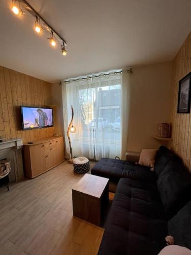 a living room with a couch and a tv at La Féessence boisée Le Mont Dore in Le Mont-Dore