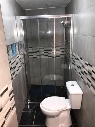 a bathroom with a toilet and a shower at Casinha da Estrela in Arraiolos