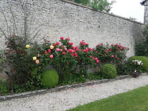 a garden with roses and shrubs in front of a brick wall at Victoria Arromanches B&B in Tracy-sur-Mer