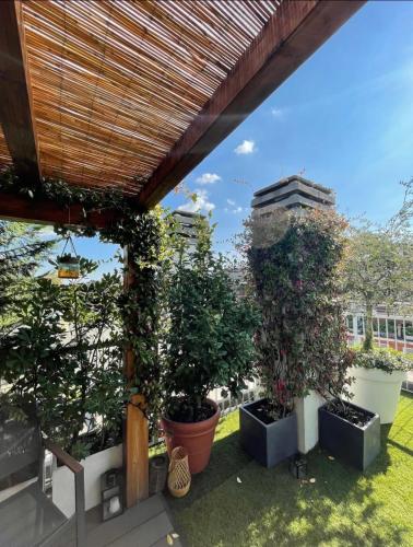 a group of potted trees sitting under a pergola at Giresio 41 - Your Penthouse with Rooftop Garden in Milano Navigli - WIFI in Milan
