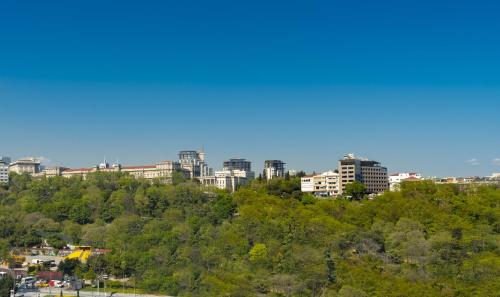 a group of buildings on top of a hill with trees at The Ritz-Carlton, Istanbul at the Bosphorus in Istanbul