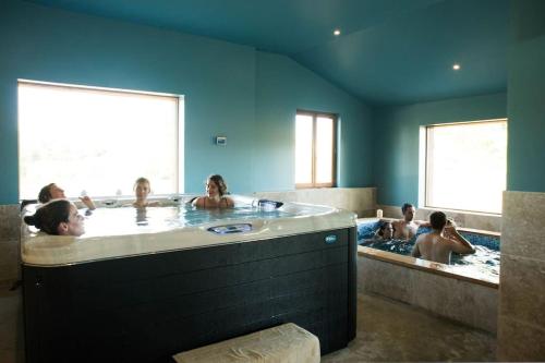 Un groupe de personnes dans un jacuzzi dans l'établissement Bastide des Tourelles pour 20 pers. Piscine & Spa, à Marzens