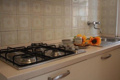 a kitchen counter with a stove and a sink at Il Fosso in Borghetto Santo Spirito