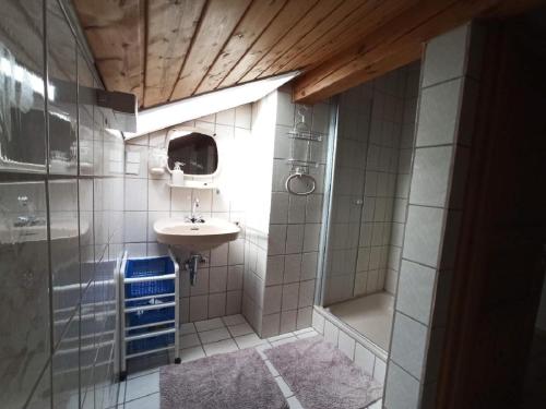 a small bathroom with a sink and a shower at Haus Schmid in Falkenfels