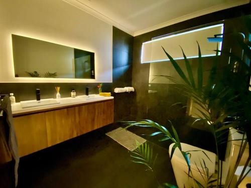 baño con lavabo, espejo y planta en Wamoon Retreat - Luxe House, en Yanakie