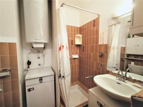 une petite salle de bain avec un lavabo et une douche dans l'établissement Studio lumineux et fonctionnel avec balcon et garage, proche centre-ville et thermes à Aix-les-Bains ! - FR-1-555-1, à Aix-les-Bains