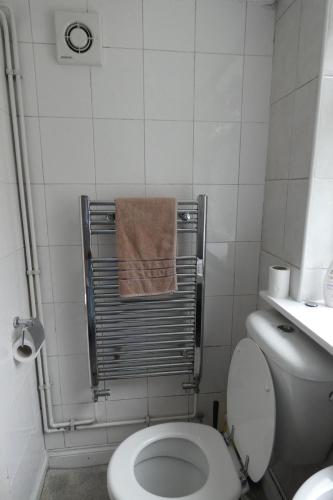 倫敦的住宿－The South View，浴室设有卫生间,毛巾架上备有毛巾