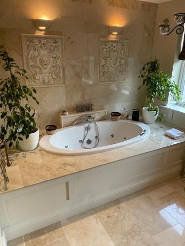 a bath tub in a bathroom with two potted plants at LakeviewLodge in Wicklow