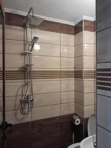 a bathroom with a shower and a toilet at Mario Complex in Melnik
