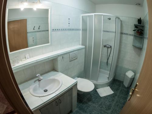 uma casa de banho com um lavatório, um chuveiro e um WC. em Hotel Holzbecher Ratibořice em Česká Skalice