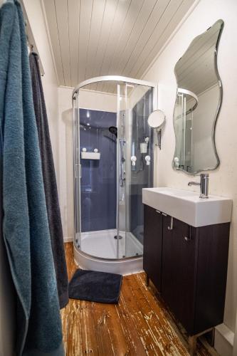 a bathroom with a shower and a sink and a mirror at Ô Macra House - Aubel, Pays de Herve in Aubel
