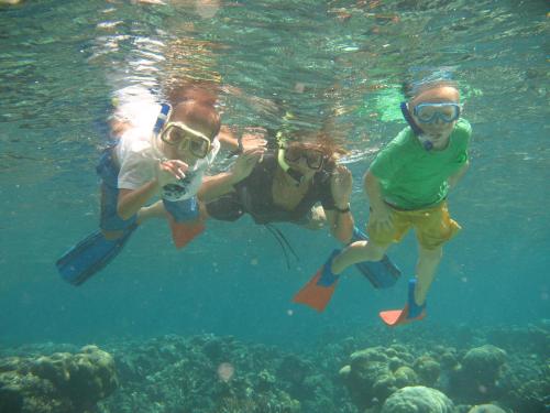 Snorkling og/eller dykning ved resortet eller i nærheden