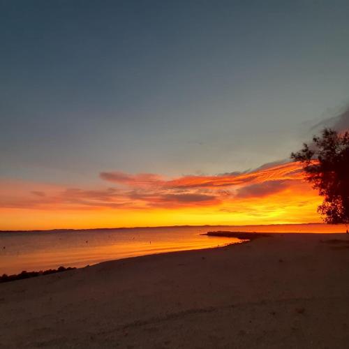 Apartman Lozančić, Vir (updated prices 2024)