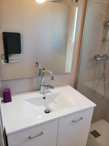 une salle de bain avec un lavabo et une douche dans l'établissement Village de Gîtes Le Châtenet, à Thonac