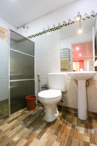 a bathroom with a toilet and a sink and a shower at Apart Hotel Las Violetas in Candelaria
