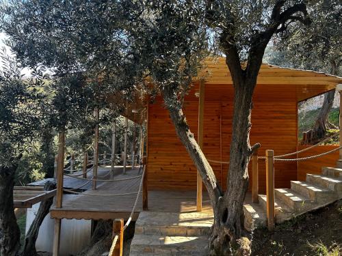 Cabaña de madera con una pasarela de madera alrededor de un árbol en Kiraz Sunset Bungalow Deluxe, en Bandırma