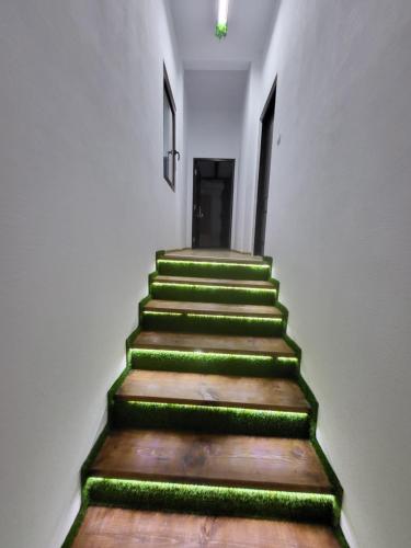 a stairway with green moss on the floor and a stair case at Вилно селище PARADISE VIEW in Sarnitsa