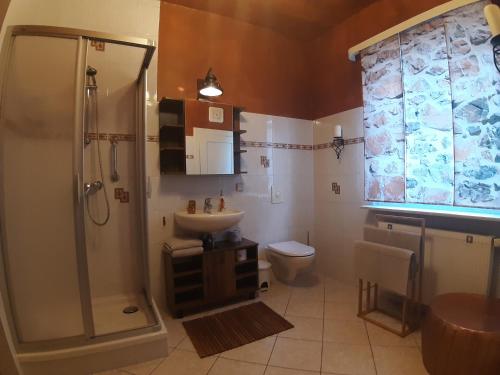 ein Bad mit einer Dusche, einem Waschbecken und einem WC in der Unterkunft Cozy Apartment in Altenbrak