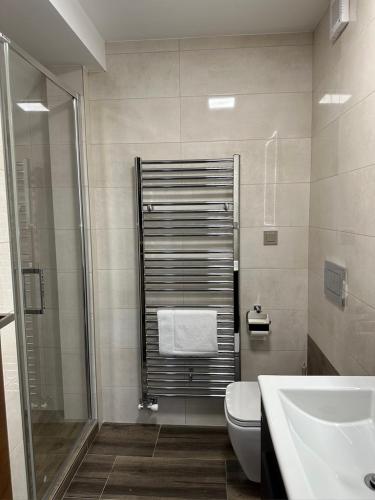 a bathroom with a shower and a toilet and a sink at SYNEK Pension in Špindlerův Mlýn