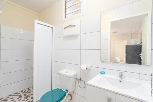 een badkamer met een toilet, een wastafel en een spiegel bij Vauclin Émeraude in Le Vauclin