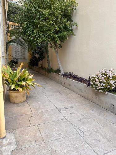 Super Flat, Garden. Bnbrickeys photo 23